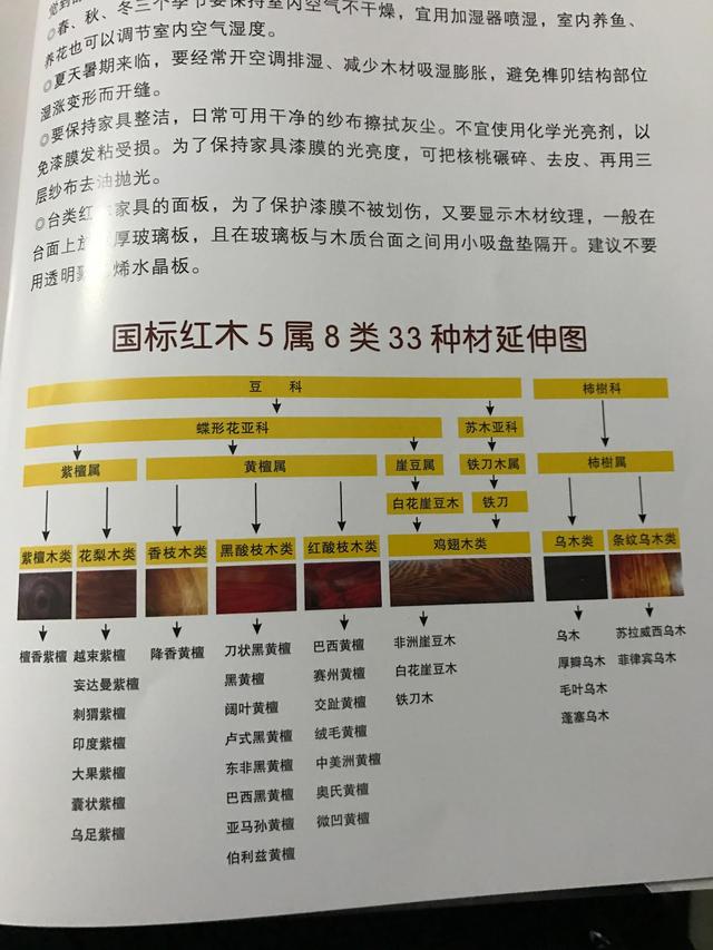 什么是真正的红木呢？