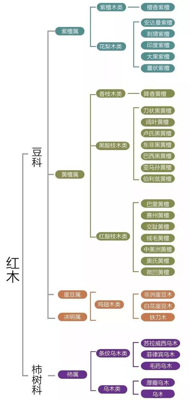 红木特别篇：红木知识普及和认识，你认识红木吗？