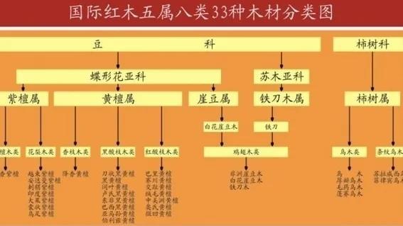 您了解红木吗