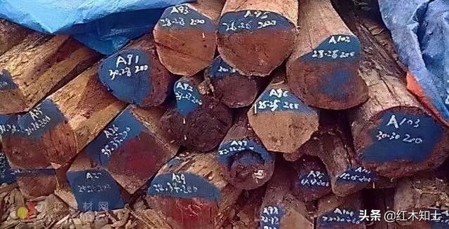 红木原料半年内均价暴涨五成商家不敢提价