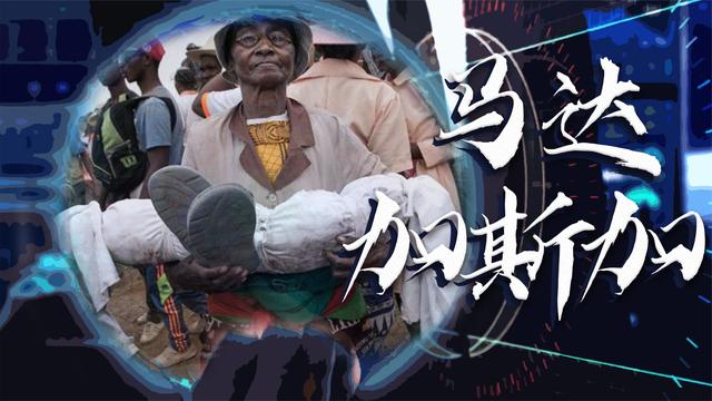 马达加斯加真土豪，红木多得像白菜，做米缸要用紫檀木