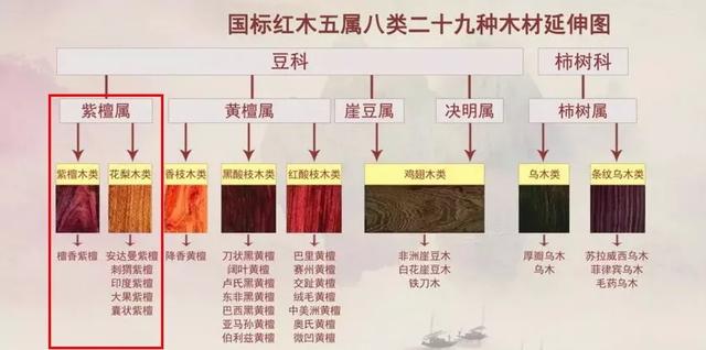 红木大全——红木的五属八类