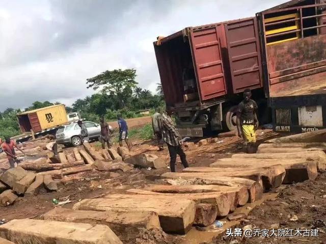 刺猬紫檀价格破万！红木厂：家具和木头价格已经倒挂