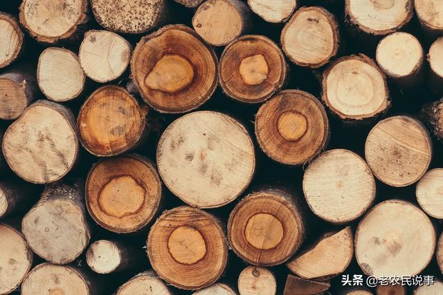 曾和紫檀齐名，平民红木，农村遇到别当柴烧，寓意好，收藏价值高
